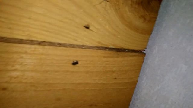 Привод для двух секционных подъемных ворот своими руками. смотреть онлайн