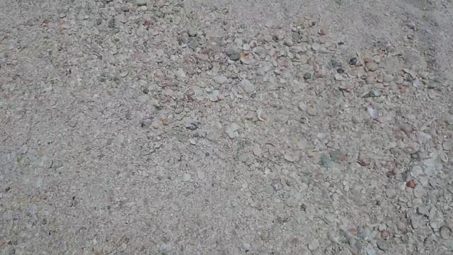 Эмират Рас-аль-Хаймах. Море ракушек. смотреть онлайн