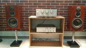 Акустические системы Kenwood LS-D700 (Япония) (2)