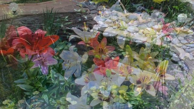 Наша дача во все времена года. смотреть онлайн