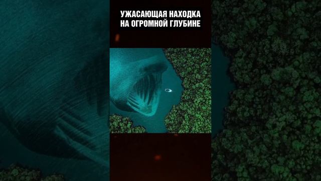 Учёные не могли поверить что ЭТО они увидели в Марианской впадине смотреть онлайн