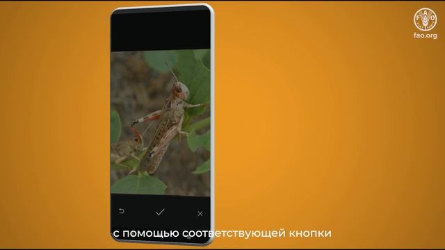 Автоматическая система сбора данных (ASDC) - видеоруководство смотреть онлайн