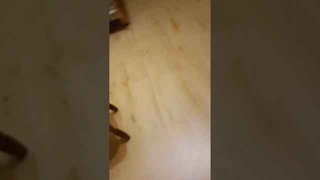 я не знаю чем заняться смотреть онлайн