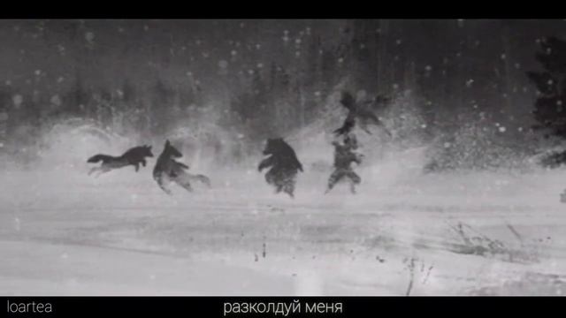 skazka meme (Tiny Bunny/Зайчик)