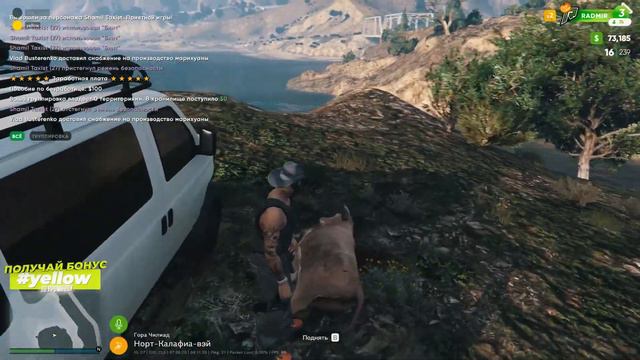 ОХОТА-САМАЯ ПРИБЫЛЬНАЯ РАБОТА В GTA 5 НА RADMIR RP? смотреть онлайн