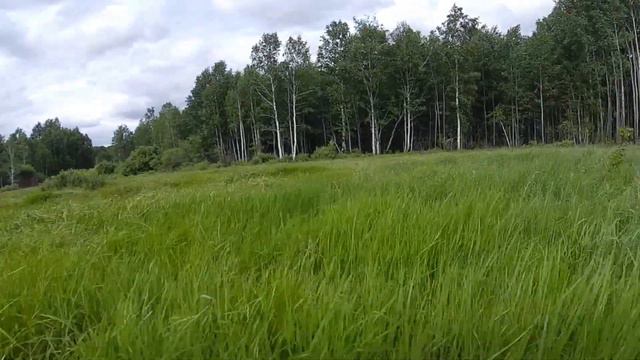 Омская область из окна машины (июнь) часть 3/Omsk region from the car window (June) part 3 смотреть онлайн