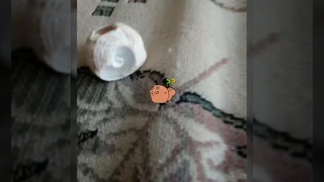 МОИ РАКУШКИ С МОРЕ №1 смотреть онлайн