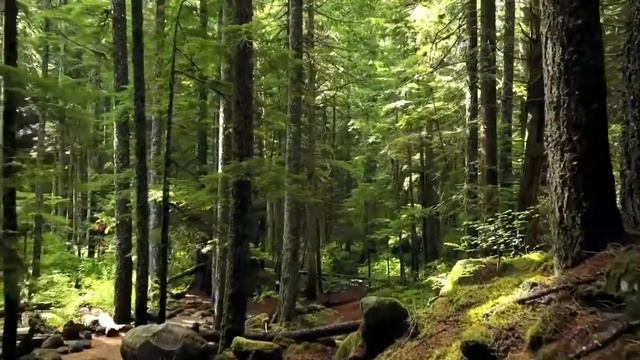 Пообщаемся друзья под музыку. смотреть онлайн