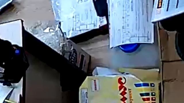 Крыса в офисе