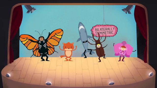 The science of symmetry - Colm Kelleher смотреть онлайн