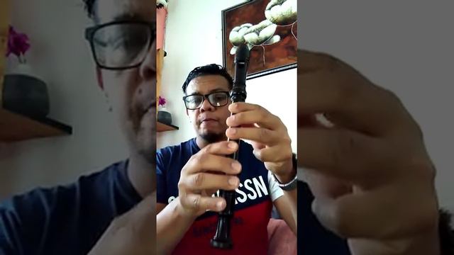 COMO APRENDER TOCAR FLAUTA SUPER FACIL смотреть онлайн