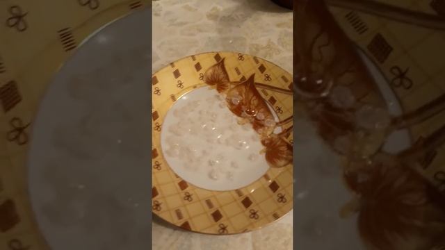 Как силикагелевый наполнитель впитывает влагу