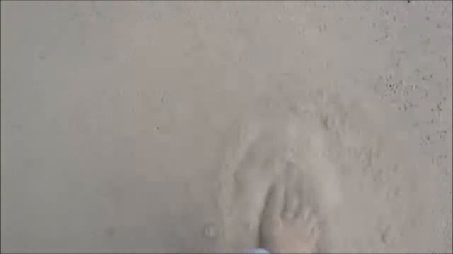 26 06 2016 Куршская Коса Поющий песок смотреть онлайн