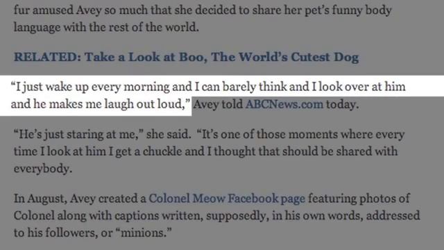 самый злой кот в мире ржач смотреть онлайн