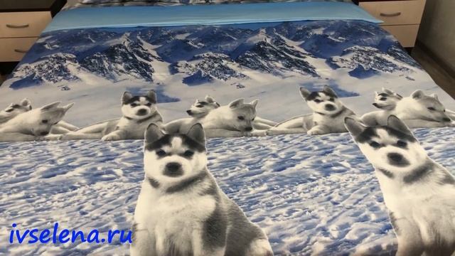 Постельное белье Шуйская бязь 209401 смотреть онлайн