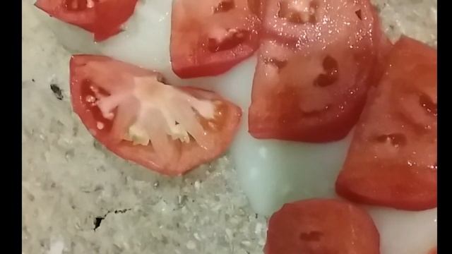 ПП Овсяный блин смотреть онлайн