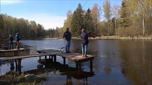 Поимки форели и карпа на верхнем водоёме. Клёвое место, Лосиный остров. смотреть онлайн