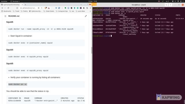 Dockerized Squid Proxy Demo смотреть онлайн