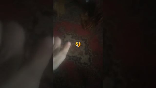 включи включил телефон смотреть онлайн