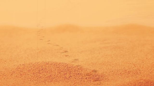 L87 - Footprints In The Sand