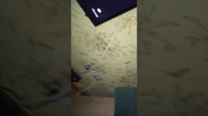 Samsung TV smart TV Crystal UHD почему моргает экран