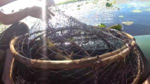 ЛОВЛЯ ЯТЕРЯМИ ЖАКАМИ ПОЙМАЛИ МНОГО РЫБЫ ПОКАЗЫВАЮ КАК СТАВИТЬ ЯТЕРЯ