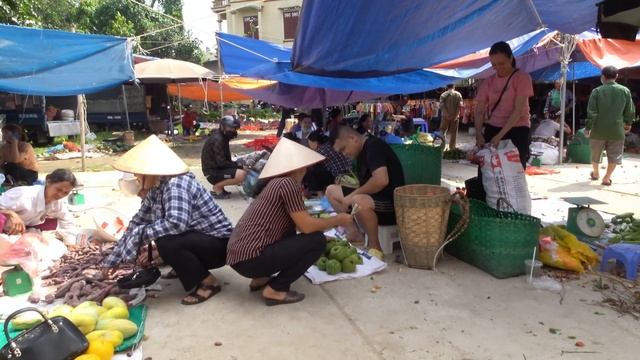 Harvest Wild Fruits in the forest and bring them to the market to sell | Ha Van Tu смотреть онлайн