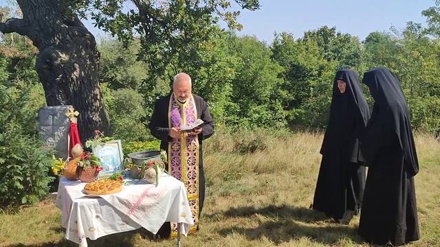 Оброк 28 август 2022г. - Водосвет смотреть онлайн