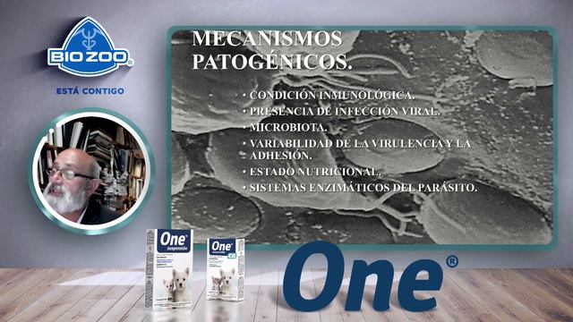 Conoce el desparasitante One Suspensión con el Dr. Pablo Martínez Labat смотреть онлайн