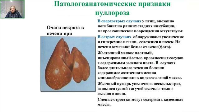 Осторожно, сальмонеллез!