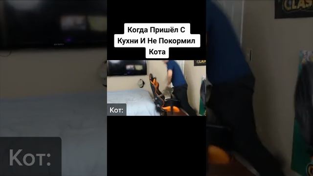 С Котом Все Хорошо!! смотреть онлайн