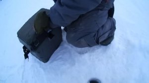 Моя подводная камера для зимней рыбалки. Как найти окуня…