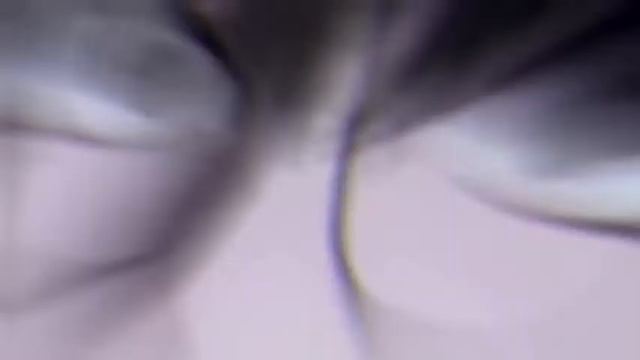 Ох ох ребят я не знаю с какой этой манги потому что мне моя Подруга предложила сделать Эдит по её смотреть онлайн