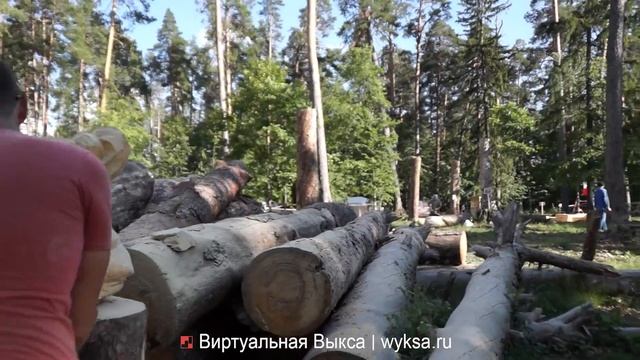 Фестиваль деревянных скульптур «Богатыри земли Русской». День второй смотреть онлайн
