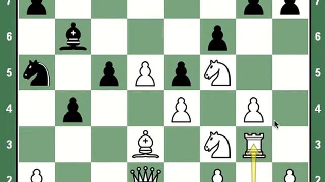 Андерсен – Цукерторот. Гамбит Эванса смотреть онлайн