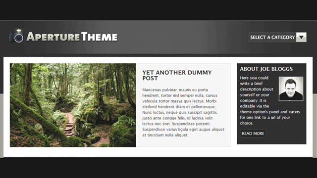 WordPress Photography Templates & Themes смотреть онлайн
