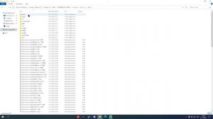 Решение проблемы с белым экраном Radmir RolePlay!