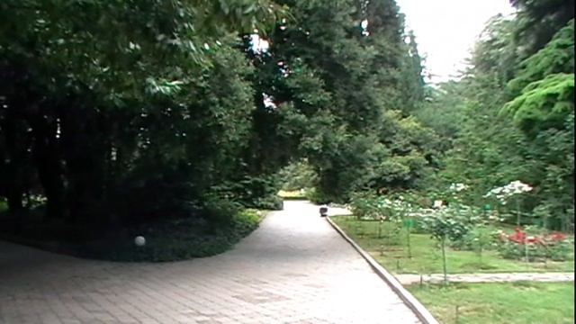 Крым. Ялта. Никитский ботанический сад. Розы. Crimea. Yalta. Nikitsky Botanical Garden. Roses. смотреть онлайн