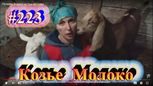 Почему Воняет козье  молоко