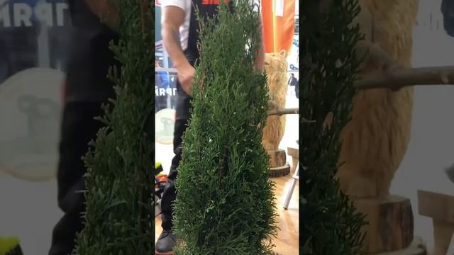 Инструмент для стрижки кустов. #shorts смотреть онлайн