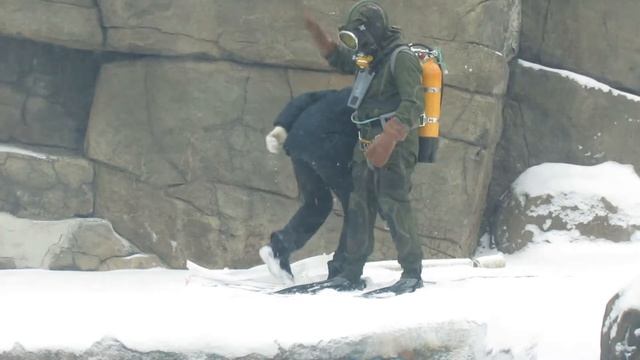 Водолаз и две белухи смотреть онлайн