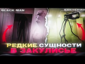 Самые РЕДКИЕ сущности в Закулисье