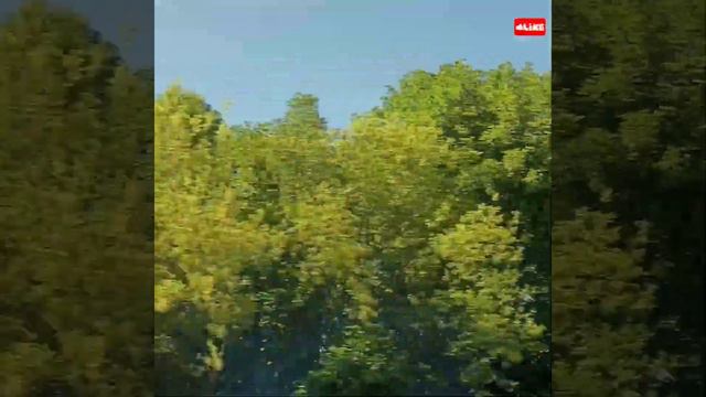 Bionic Buddha - Buddha Tales-2