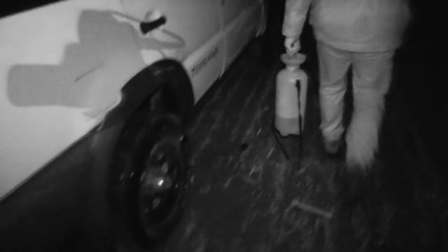 #49 Odstrzał sanitarny w strefie ASF смотреть онлайн