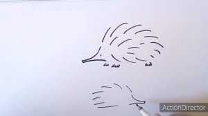 Ехидна