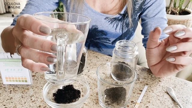 Кислотность почвы. Как измерить pH грунта? смотреть онлайн
