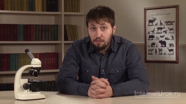 Круглые черви. Видеоурок по биологии 7 класс смотреть онлайн