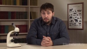 Круглые черви. Видеоурок по биологии 7 класс