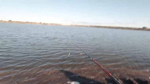 Рыбалка на карьере вблизи Угры. В конце видео лайфхак как чистить окуня.