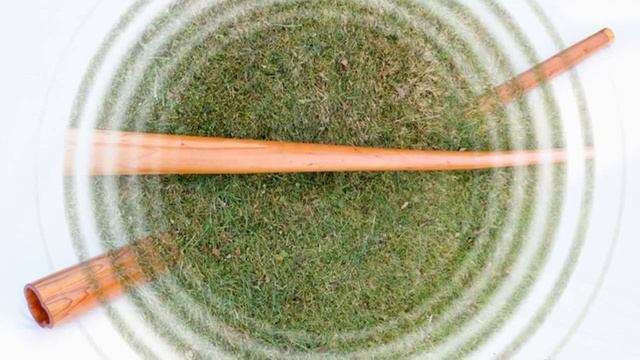 Didgeridoo for sale! Key D смотреть онлайн